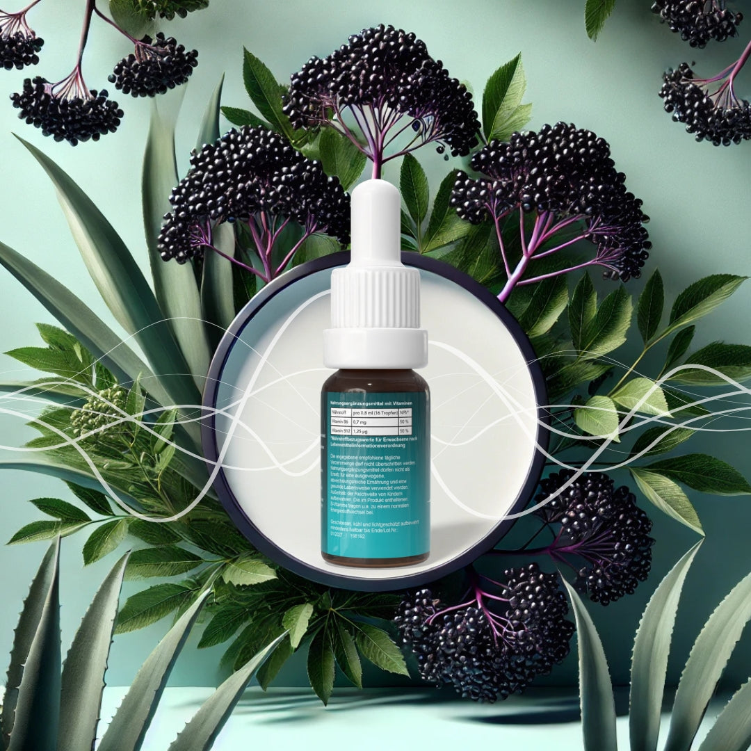 Lot de 20 MyImpulse Power avec vitamines B6 et B12 pour les revendeurs/partenaires enregistrés